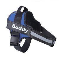 Reflective And Breathable Adjustable Pet Strap Vest (Option: Blue-S)