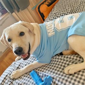 Summer Dog Thin Pet Clothing Vest (Option: 68Tshirt Sky Blue-XL)